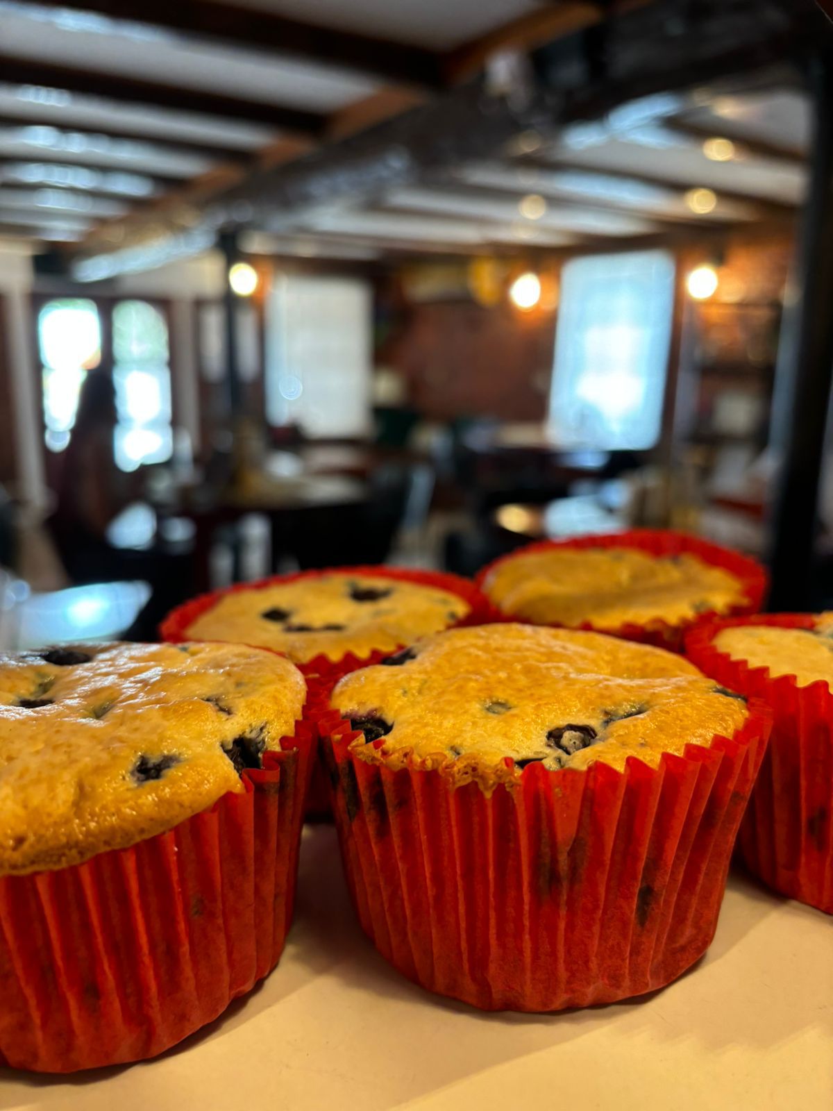 Blueberry Muffins